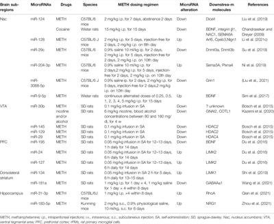 MicroRNAs in Methamphetamine-Induced Neurotoxicity and Addiction